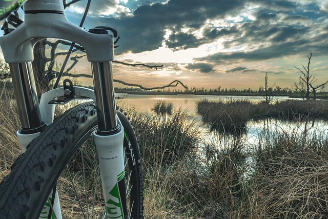 Guide til børne mountainbikes: Sådan vælger du den perfekte cykel til dit barn